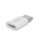 Delight MicroUSB anya – USB Type-C apa adapter (55448C)