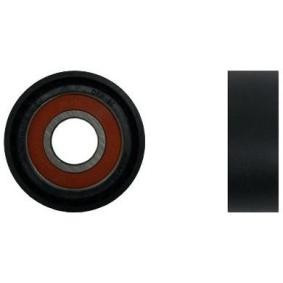 P216003 Hosszú Görgő 52x18x17 55266MG Ford