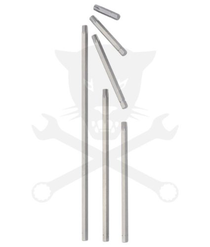 Torx bit 1/4" – T40 (6540)