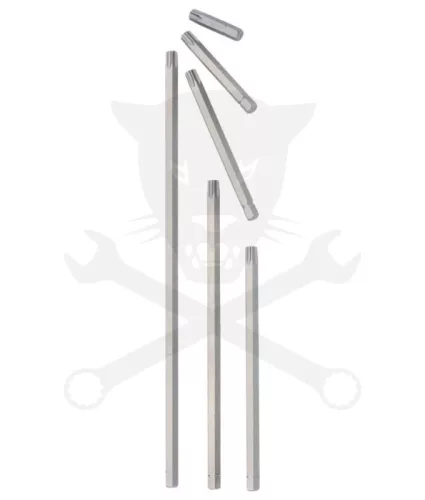 Torx bit 1/4" – T40 (6540)