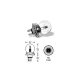 ELTA VisionPro 12V 45/40W R2 P45t Izzó