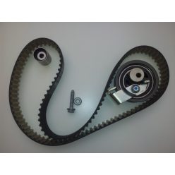 Vezérlés készlet INA 038198119 1.9 PD-TDI 2003-ig