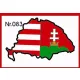 Nagy Magyarország műgyantás kicsi – 083