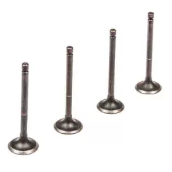   Szívószelep készlet – VAZ 2101–2107 / 21213 / 21214 (2101-1007010) (4 db)