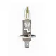 SCT 202037 12V H1 White 55W P14,5s izzó