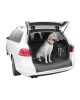 Autószőnyeg kutyáknak a kocsi csomagterébe M-es méret Dexter