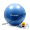 Wozinsky tornalabda 65 cm kék