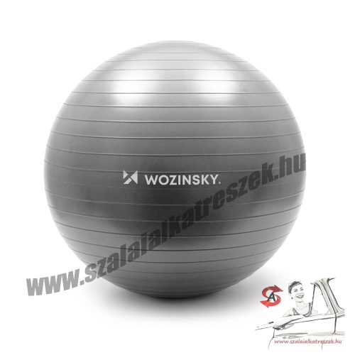 Wozinsky tornalabda 65 cm ezüst