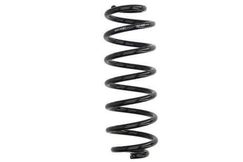 Volkswagen Passat B7 CC (2011-2016) Futómű rugó - hátsó, bal / jobb - Magnum