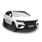 BESTUNE T77