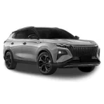 DONGFENG HUGE