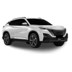 DONGFENG MAGE