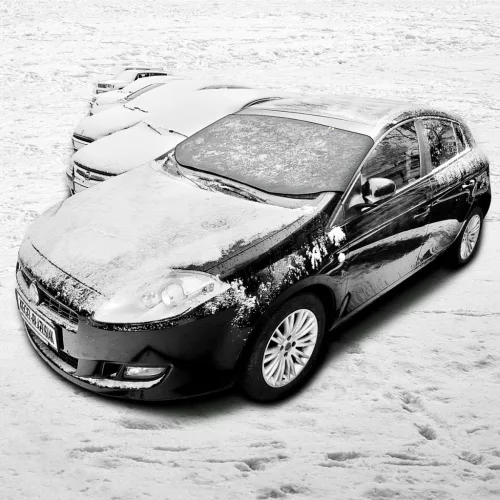 Téli szélvédőtakaró Winter L|Kegel-Blazusiak